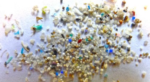 Microplastics